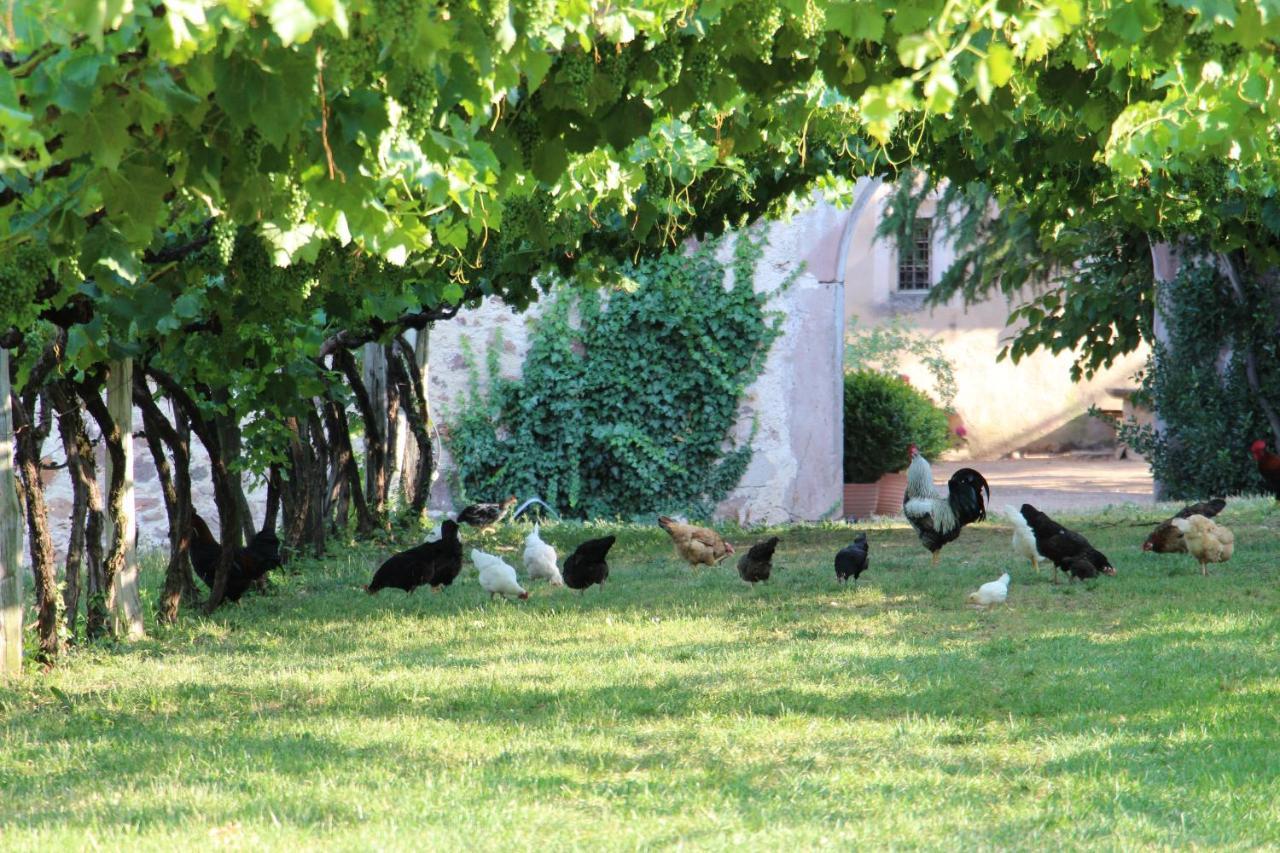 Schloss Englar Appiano Sulla Strada Del Vino Extérieur photo